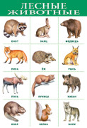 Плакат обучающий "Домашние животные"