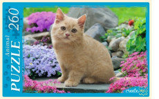 Пазлы 260 эл. Рыжий котенок в цветах