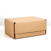 Коробка самосборная 22 х 16,5 х 10 см   3504143