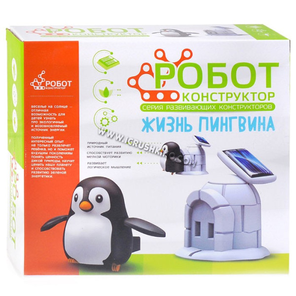 Пингвинчик в коробке