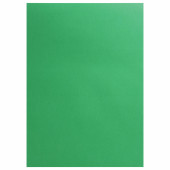 Картон цветной А4 ТОНИРОВАННЫЙ В МАССЕ, 10 листов, ЗЕЛЕНЫЙ, 180г/м2, ОСТРОВ СОКРОВИЩ, 129312