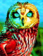 Холст с красками по номерам 22х30 см. Пронзительный взгляд совы (Арт. HS270)