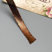 Тесьма декоративная пластик "Фольгированная нить" намотка 3 м ширина 0,8 см шоколад   5109463