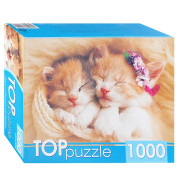Пазлы 1000 TOPpuzzle &quot;Два спящих котенка&quot;