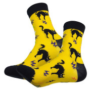 Дизайнерские носки серии В мире животных "Страшно красивый кот", р-р 36-39 (черный/желтый)