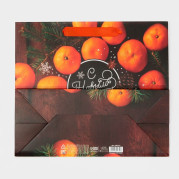 Пакет ламинированный горизонтальный «Со вкусом Нового Года», MS 18 × 23 × 10 см      7695796